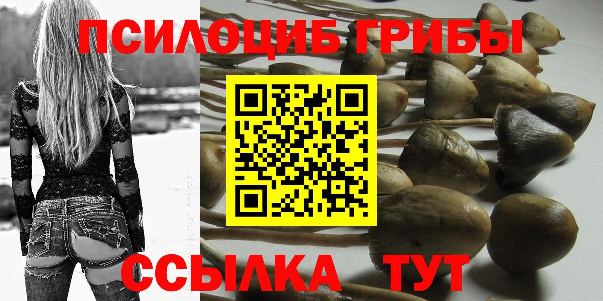 Псилоцибиновые грибы MAGIC MUSHROOMS Печора
