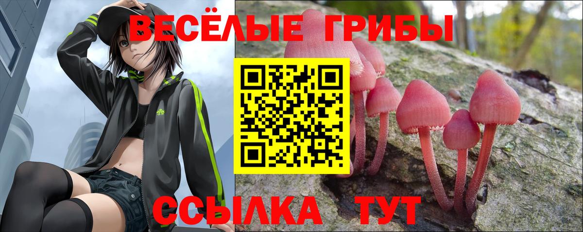 Печора  Галлюциногенные грибы Magic Shrooms  Псилоцибиновые грибы ЛСД  Вход с VPN 
